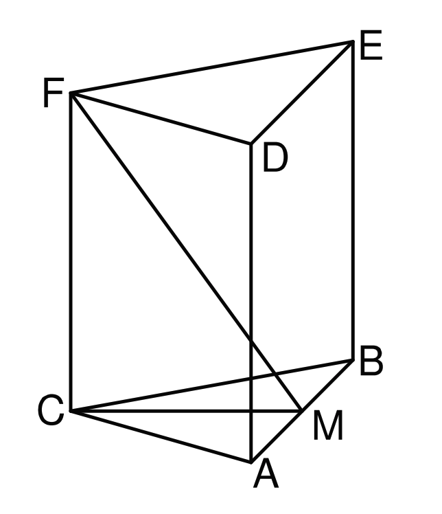 Skizze eines schrägen Quaders mit markierten Punkten A, B, C, D, E, F und M sowie eingezeichneten Diagonalen
